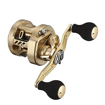 DAIWA BASARA200 ベイトリール ゴールド Amazon | ダイワ(DAIWA) 21 バサラ 100L | ダイワ(DAIWA